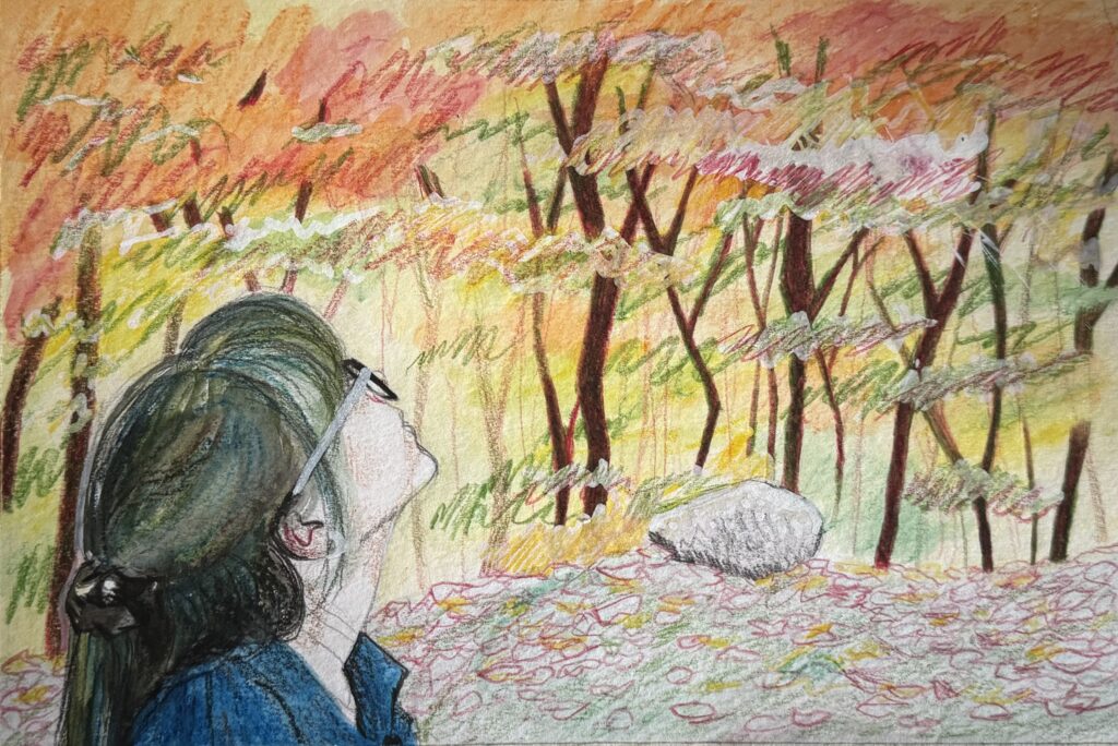 Pencil drawing of Megan in the Forest