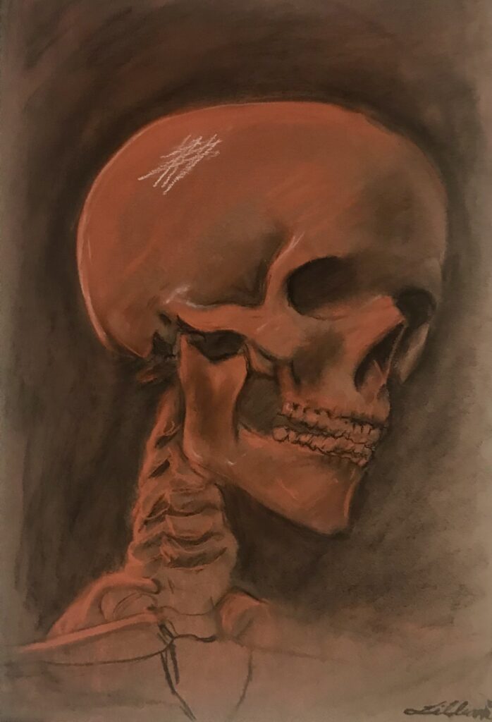 Charcoal and pastel drawing of a red skull.